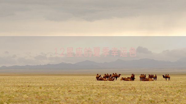 12星座的夏季幸运色(图1)