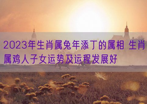 2023年生肖属兔年添丁的属相 生肖属鸡人子女运势及运程发展好(图1)