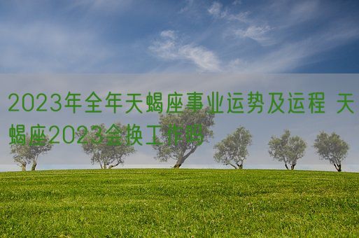 2023年全年天蝎座事业运势及运程 天蝎座2023会换工作吗(图1)