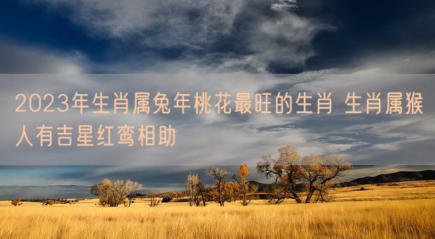 2023年生肖属兔年桃花最旺的生肖 生肖属猴人有吉星红鸾相助(图1)
