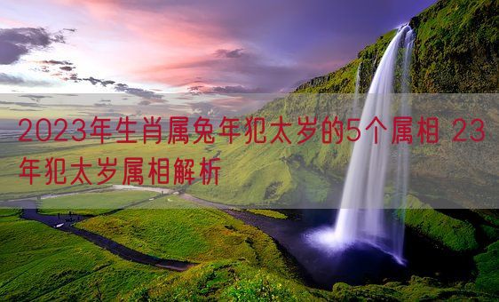 2023年生肖属兔年犯太岁的5个属相 23年犯太岁属相解析(图1)