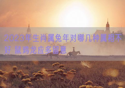 2023年生肖属兔年对哪几种属相不好 鼠鸡龙应多留意(图1)