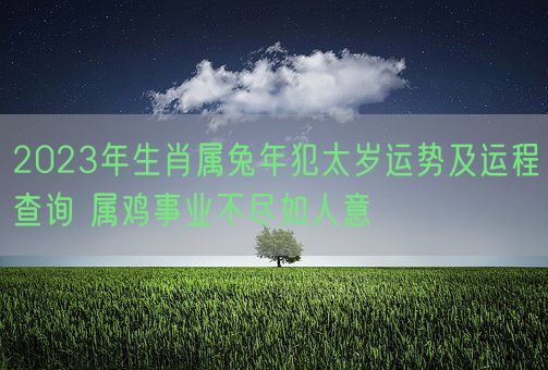 2023年生肖属兔年犯太岁运势及运程查询 属鸡事业不尽如人意(图1)