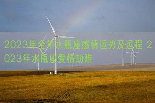 2023年全年水瓶座感情运势及运程 2023年水瓶座爱情劫难(图1)