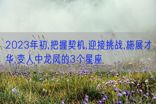 2023年初,把握契机,迎接挑战,施展才华,变人中龙凤的3个星座(图1)