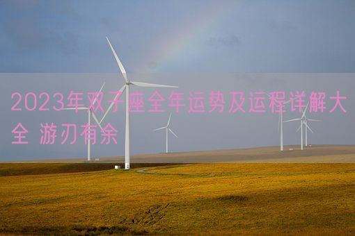 2023年双子座全年运势及运程详解大全 游刃有余(图1)