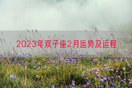 2023年双子座2月运势及运程(图1)