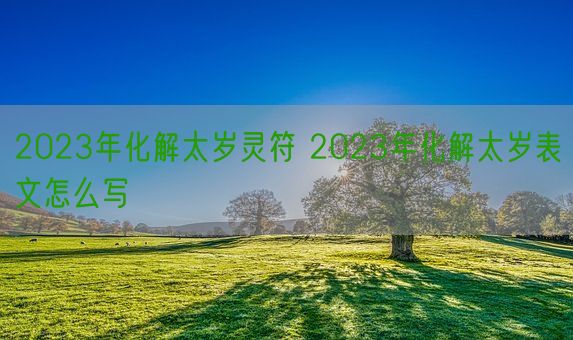 2023年化解太岁灵符 2023年化解太岁表文怎么写(图1)