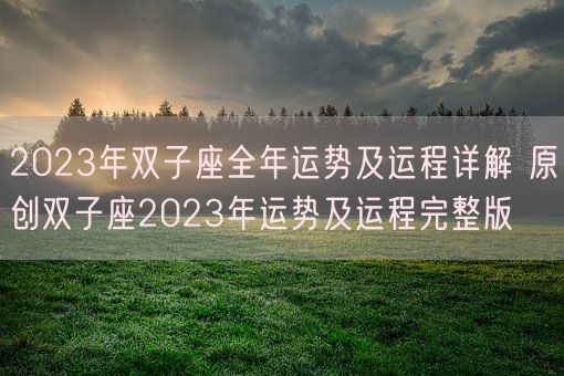 2023年双子座全年运势及运程详解 原创双子座2023年运势及运程完整版(图1)