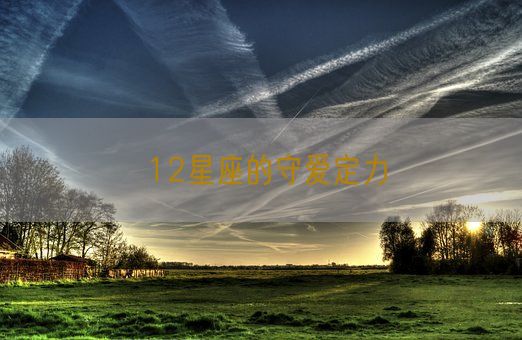 12星座的守爱定力(图1)