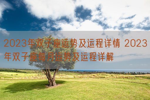 2023年双子座运势及运程详情 2023年双子座每月运势及运程详解(图1)