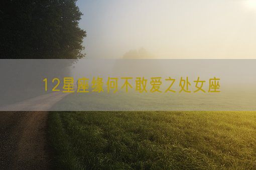12星座缘何不敢爱之处女座(图1)