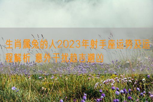 生肖属兔的人2023年射手座运势及运程解析 意外干扰趋吉避凶(图1)