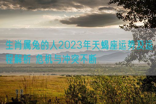 生肖属兔的人2023年天蝎座运势及运程解析 危机与冲突不断(图1)