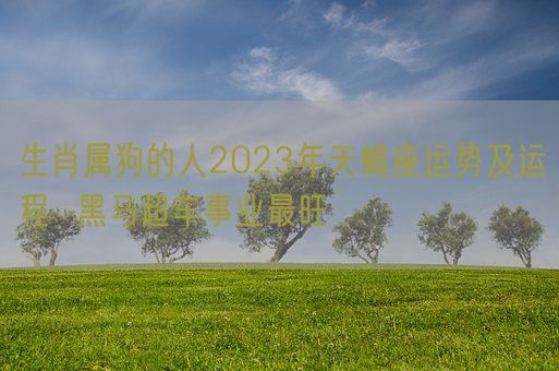 生肖属狗的人2023年天蝎座运势及运程  黑马超车事业最旺(图1)