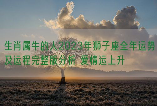 生肖属牛的人2023年狮子座全年运势及运程完整版分析 爱情运上升(图1)