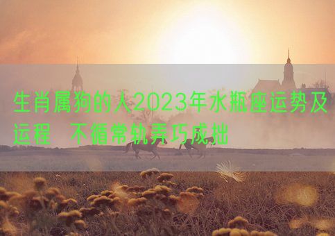 生肖属狗的人2023年水瓶座运势及运程  不循常轨弄巧成拙(图1)