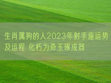 生肖属狗的人2023年射手座运势及运程 化朽为奇玉琢成器(图1)