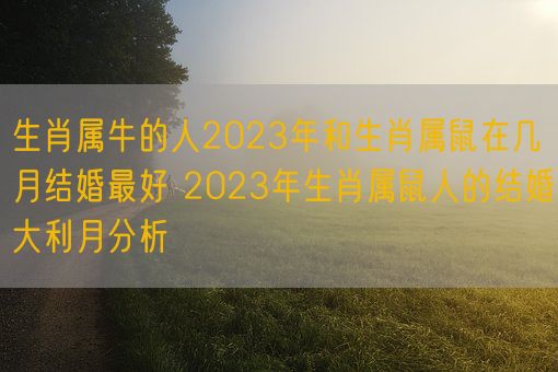 生肖属牛的人2023年和生肖属鼠在几月结婚最好 2023年生肖属鼠人的结婚大利月分析(图1)