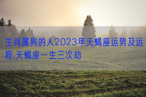 生肖属狗的人2023年天蝎座运势及运程,天蝎座一生三次劫(图1)