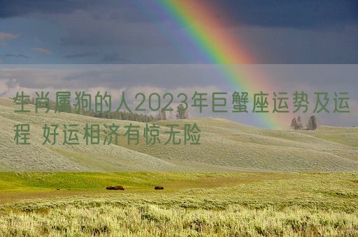 生肖属狗的人2023年巨蟹座运势及运程 好运相济有惊无险(图1)