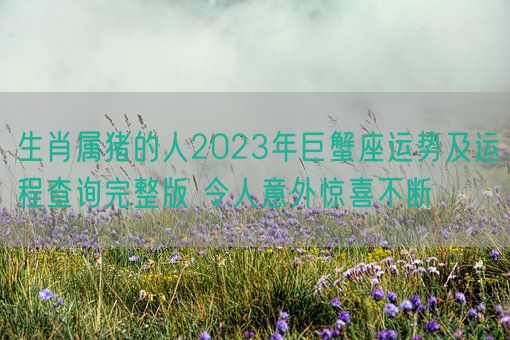 生肖属猪的人2023年巨蟹座运势及运程查询完整版 令人意外惊喜不断(图1)