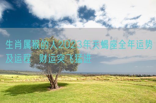 生肖属猴的人2023年天蝎座全年运势及运程  财运突飞猛进(图1)