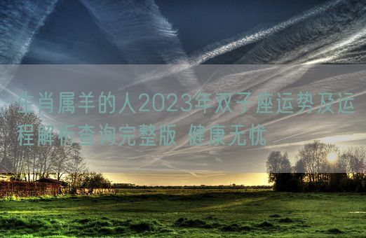 生肖属羊的人2023年双子座运势及运程解析查询完整版 健康无忧(图1)