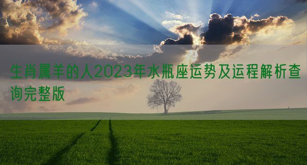 生肖属羊的人2023年水瓶座运势及运程解析查询完整版(图1)