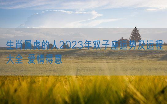 生肖属虎的人2023年双子座运势及运程大全 爱情得意(图1)