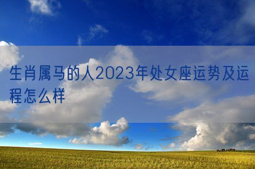 生肖属马的人2023年处女座运势及运程怎么样 (图1)