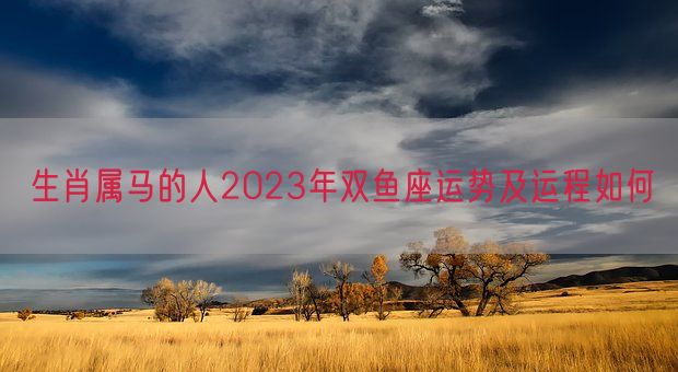 生肖属马的人2023年双鱼座运势及运程如何 (图1)