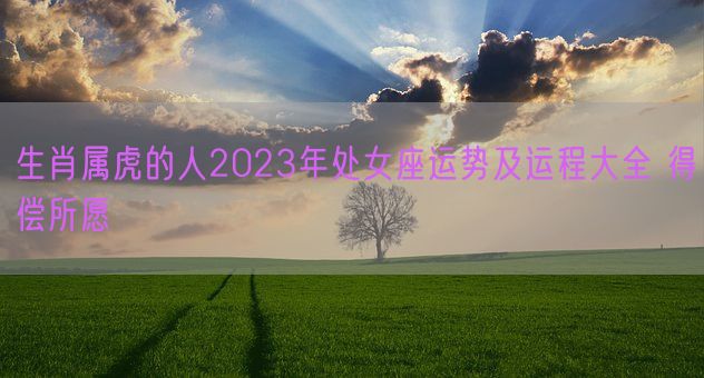 生肖属虎的人2023年处女座运势及运程大全 得偿所愿(图1)