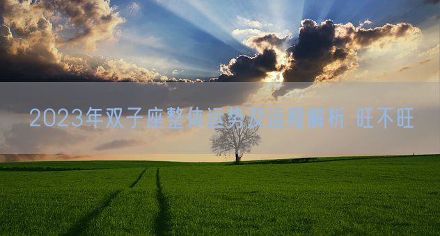 2023年双子座整体运势及运程解析 旺不旺(图1)