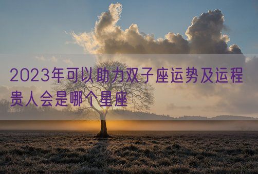 2023年可以助力双子座运势及运程 贵人会是哪个星座(图1)