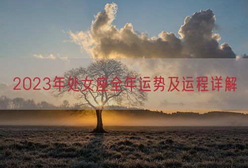 2023年处女座全年运势及运程详解(图1)