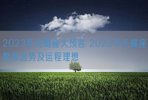 2023年天蝎座大预言 2023年天蝎座整体运势及运程理想(图1)