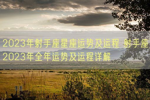 2023年射手座星座运势及运程 射手座2023年全年运势及运程详解 (图1)