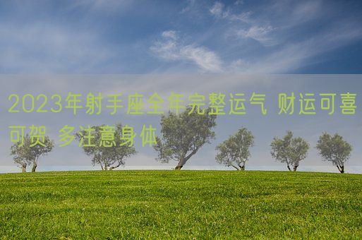 2023年射手座全年完整运气 财运可喜可贺 多注意身体(图1)