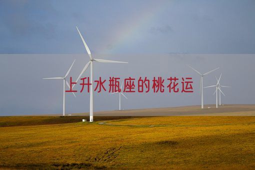 上升水瓶座的桃花运(图1)