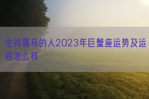 生肖属马的人2023年巨蟹座运势及运程怎么样 (图1)