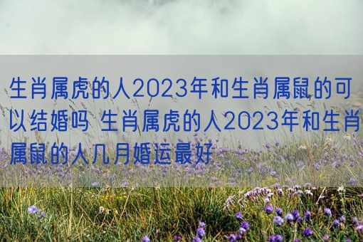 生肖属虎的人2023年和生肖属鼠的可以结婚吗 生肖属虎的人2023年和生肖属鼠的人几月婚运最好(图1)