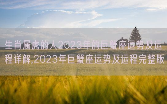 生肖属虎的人2023年的巨蟹座运势及运程详解,2023年巨蟹座运势及运程完整版(图1)