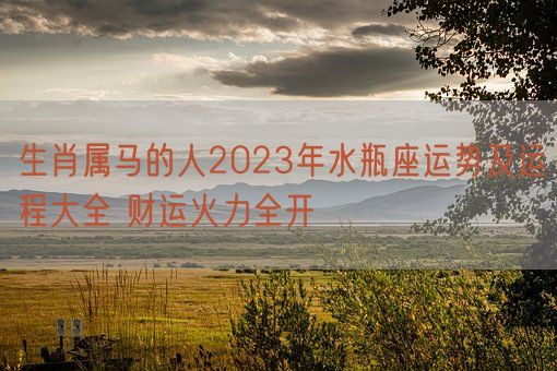 生肖属马的人2023年水瓶座运势及运程大全 财运火力全开(图1)