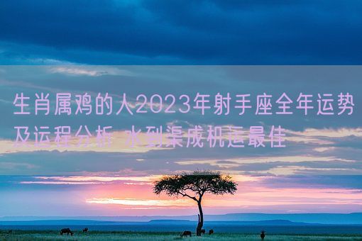 生肖属鸡的人2023年射手座全年运势及运程分析 水到渠成机运最佳(图1)