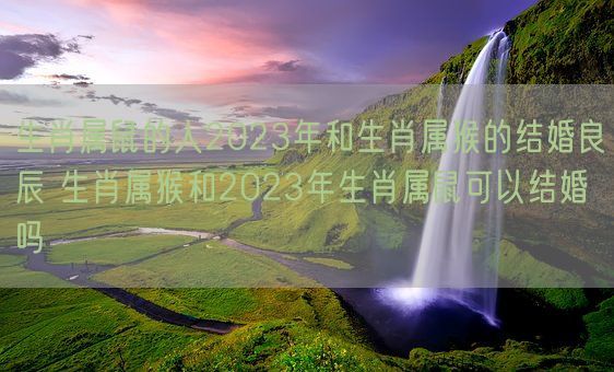 生肖属鼠的人2023年和生肖属猴的结婚良辰 生肖属猴和2023年生肖属鼠可以结婚吗(图1)