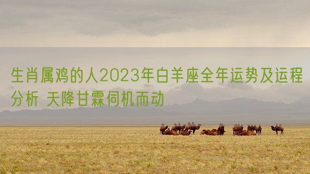 生肖属鸡的人2023年白羊座全年运势及运程分析 天降甘霖伺机而动(图1)