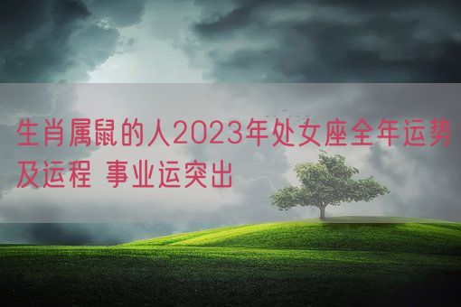 生肖属鼠的人2023年处女座全年运势及运程 事业运突出(图1)