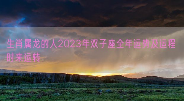 生肖属龙的人2023年双子座全年运势及运程 时来运转(图1)