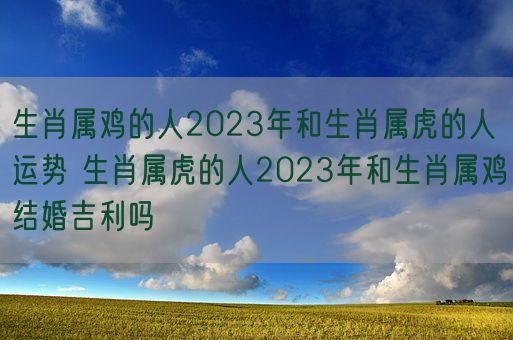 生肖属鸡的人2023年和生肖属虎的人运势 生肖属虎的人2023年和生肖属鸡结婚吉利吗(图1)